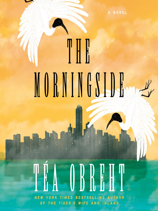 Title details for The Morningside by Téa Obreht - Wait list